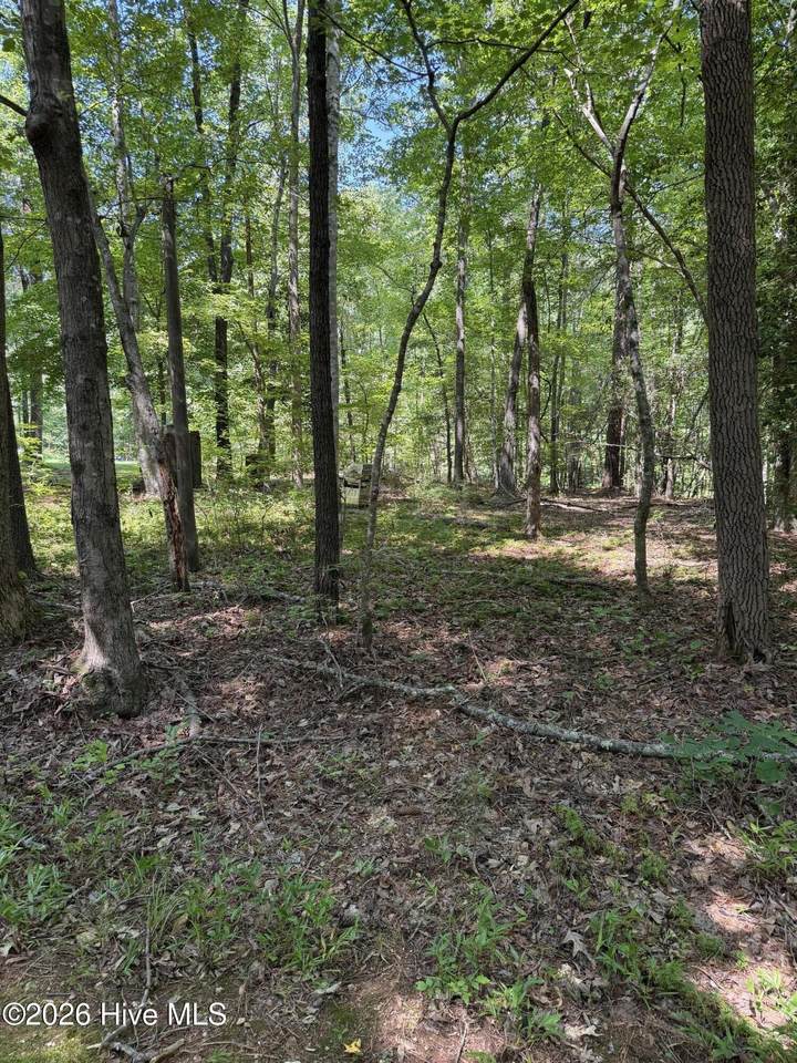 153 Omaha Drive - Photo 1