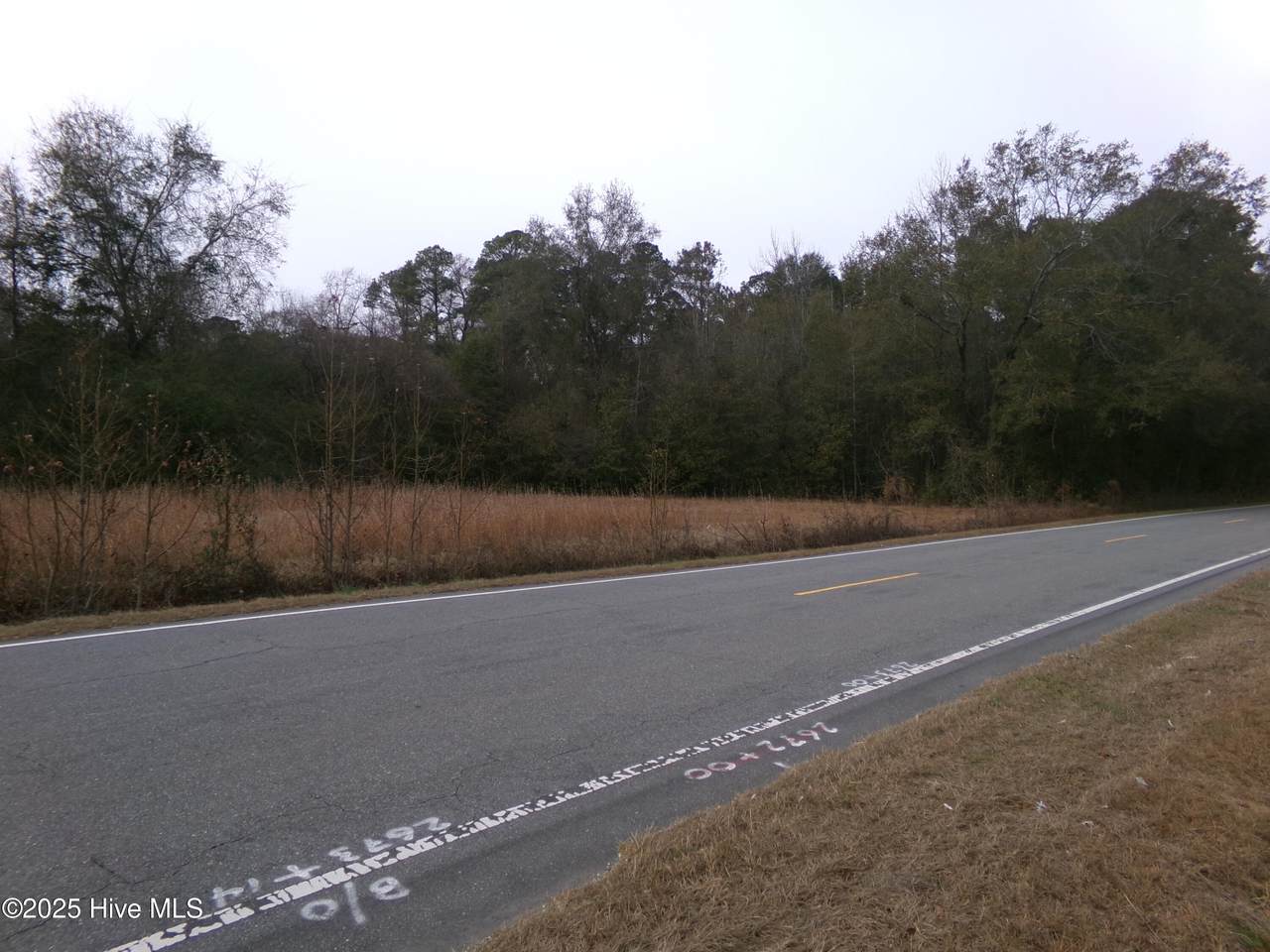 Lot 1 Ivanhoe Road - Photo 1