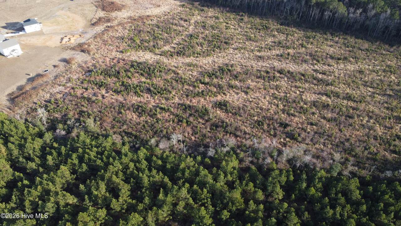 Lot 31 Talton Estates Drive - Photo 1