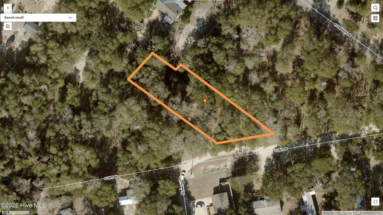 217 Clinton Street - Photo 1