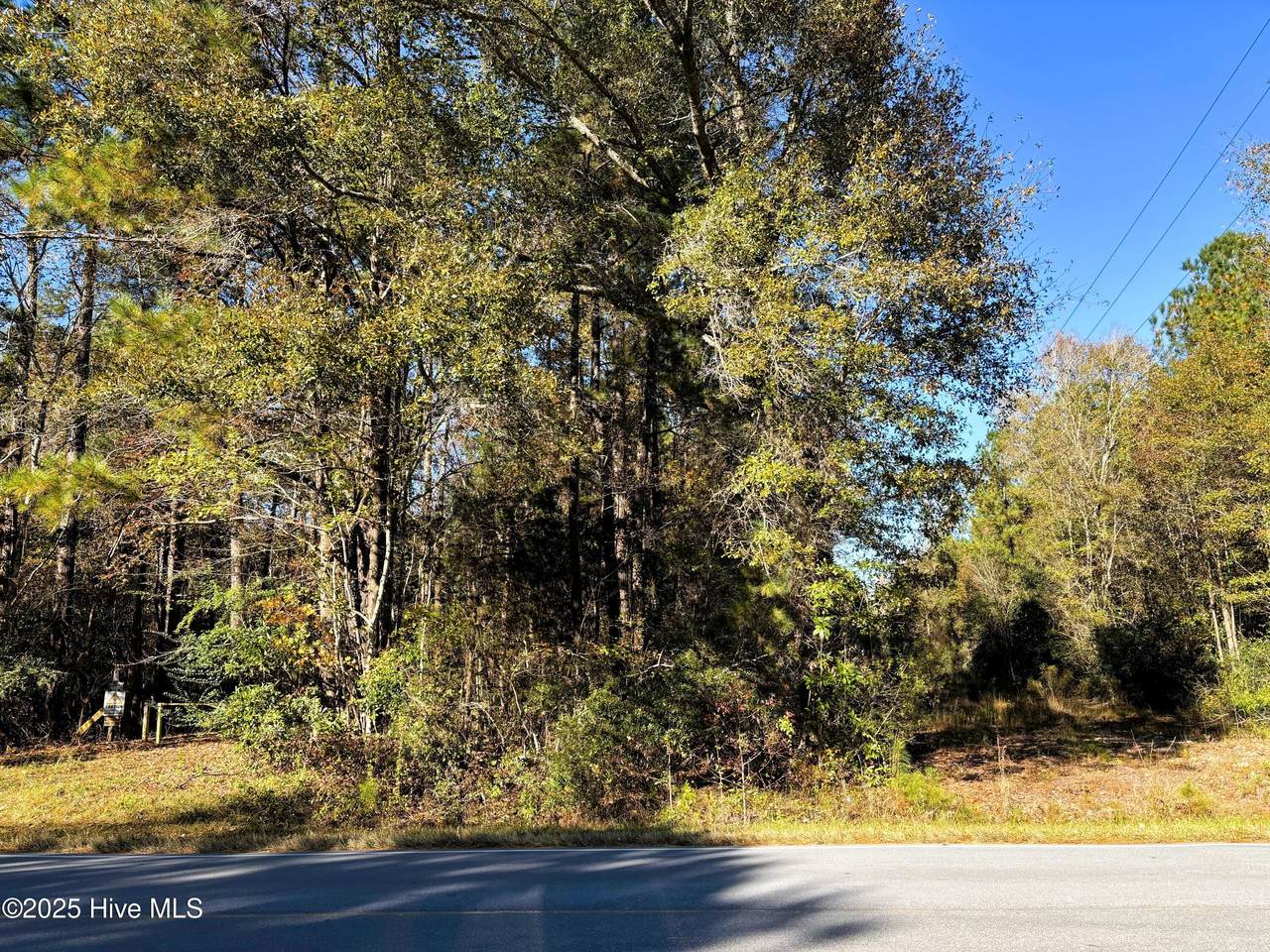 00 Hines Farm Road - Photo 1