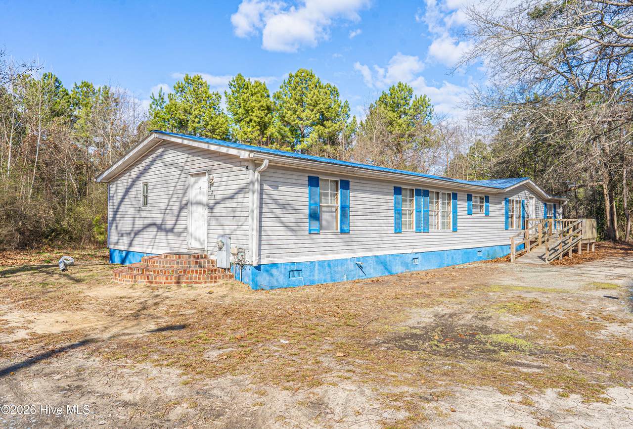 123 Hailey Ames Street - Photo 1