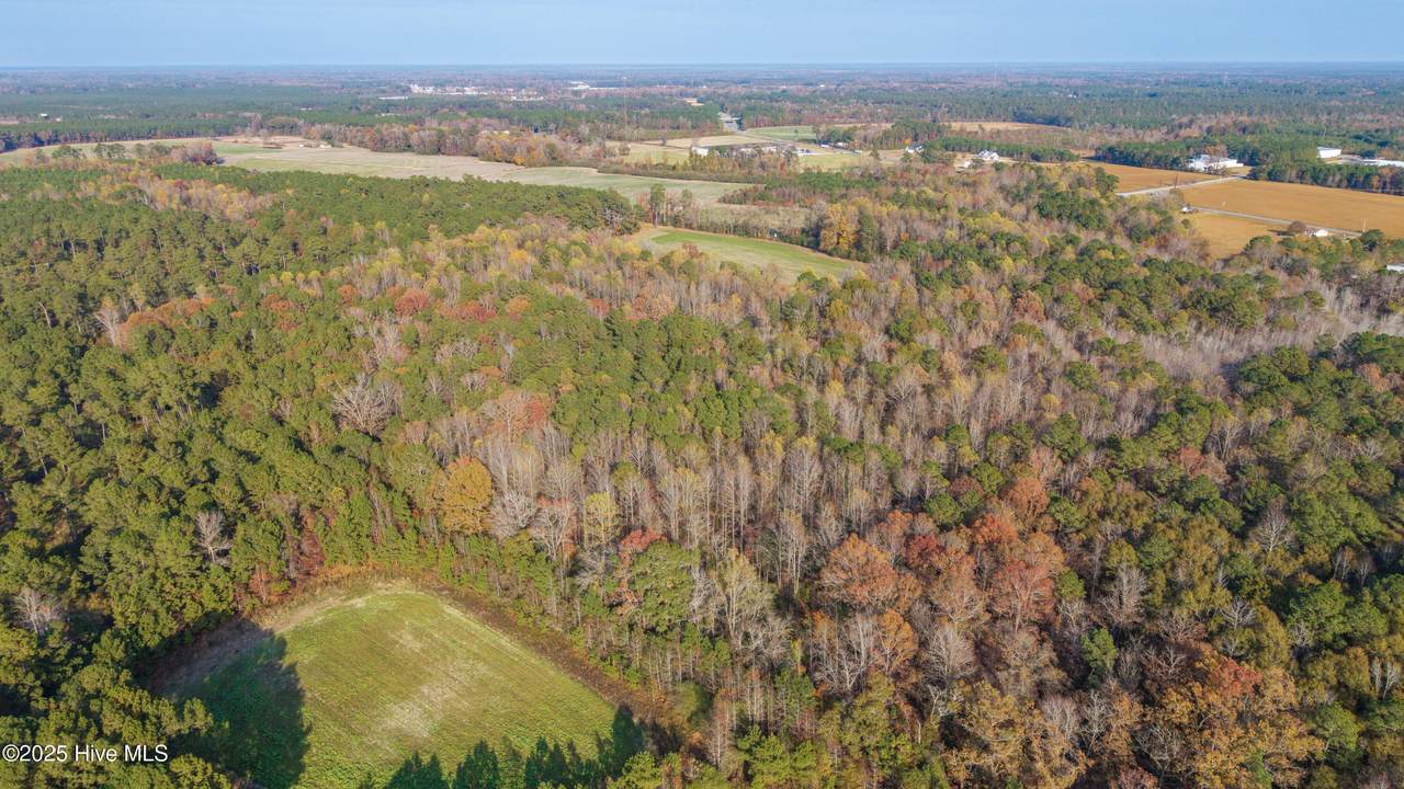 41.5 Acres High School Road - Photo 1