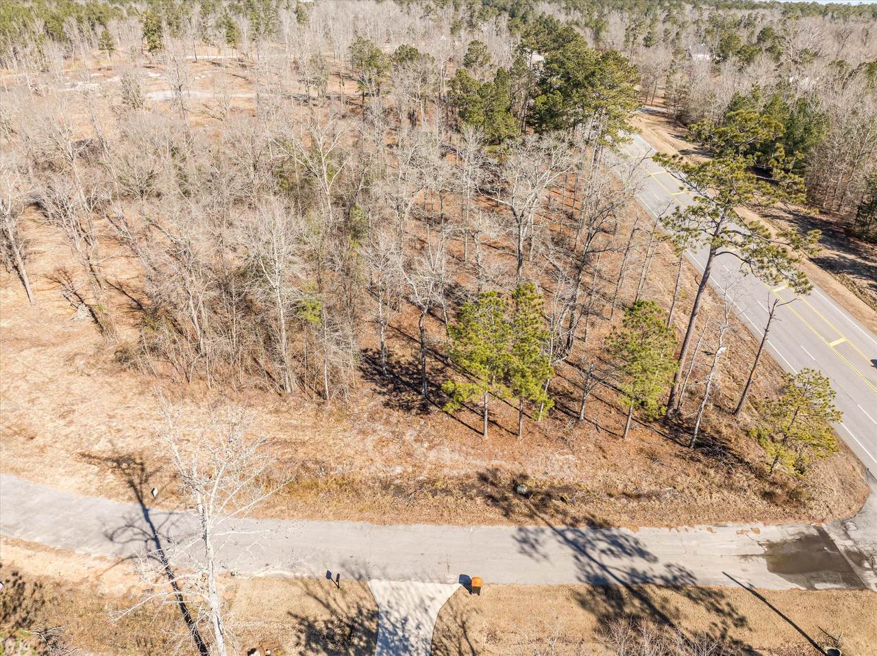 110 Gin Branch Road - Photo 1