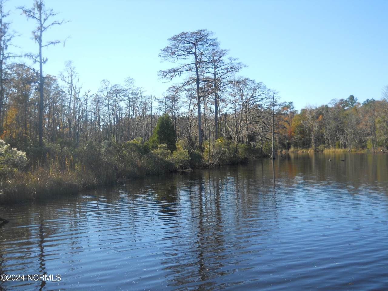 49 Deep Creek Road - Photo 1