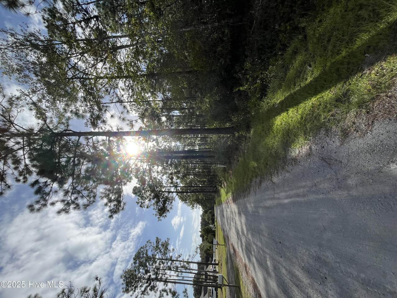 Lot 7 Maple Road - Photo 1