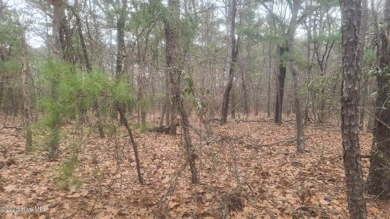 Tbd Union Church Road - Photo 1