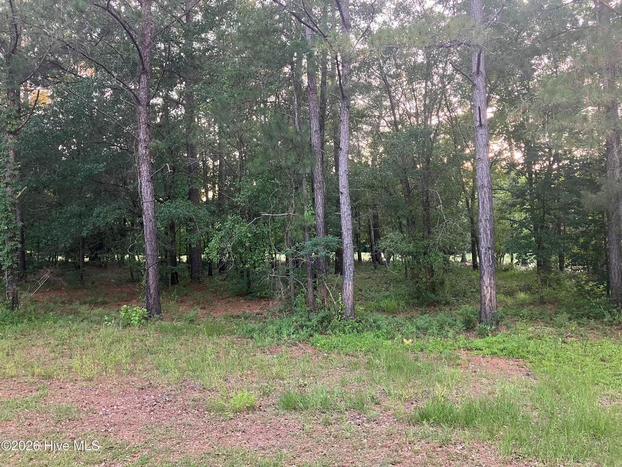 112 Riverstone Run Drive - Photo 1