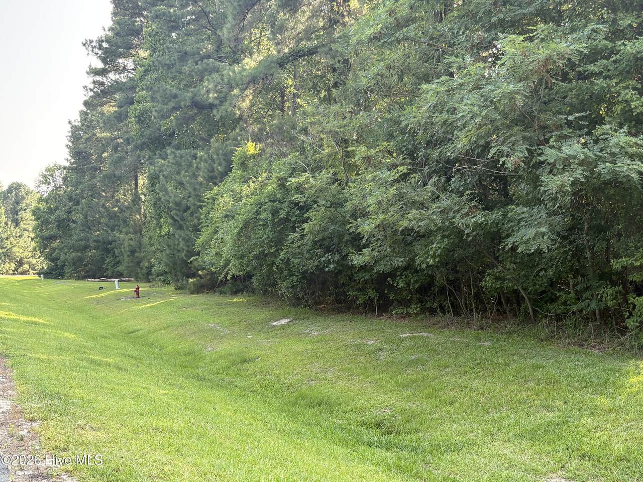 519 Riversound Drive - Photo 1