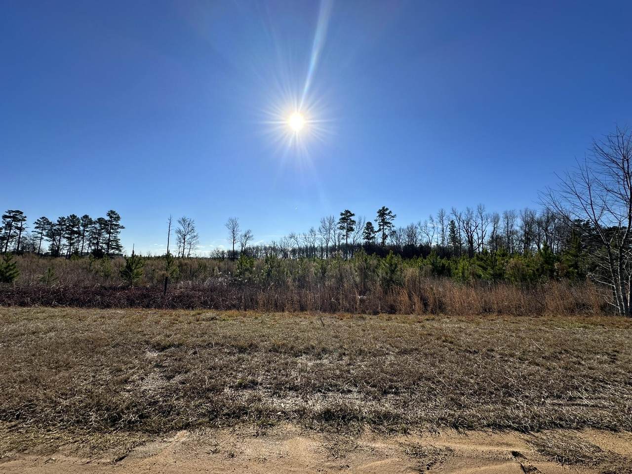Lot 6 Triangle Road - Photo 1