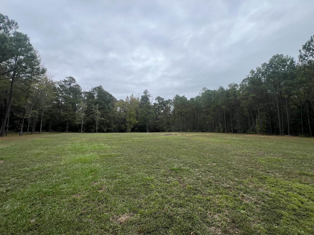 3256 Ray Owens Road - Photo 1