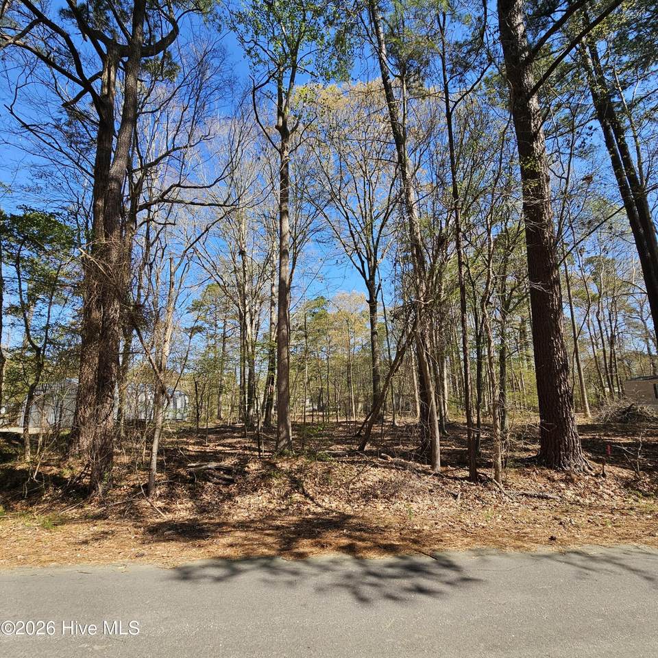 Lot 77 Pirate Cove Way - Photo 1