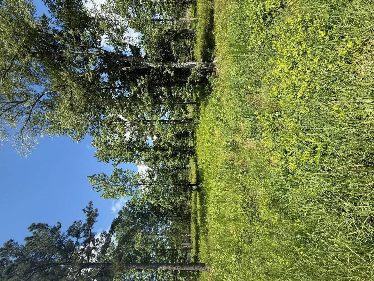 385 Shagbark Way - Photo 1