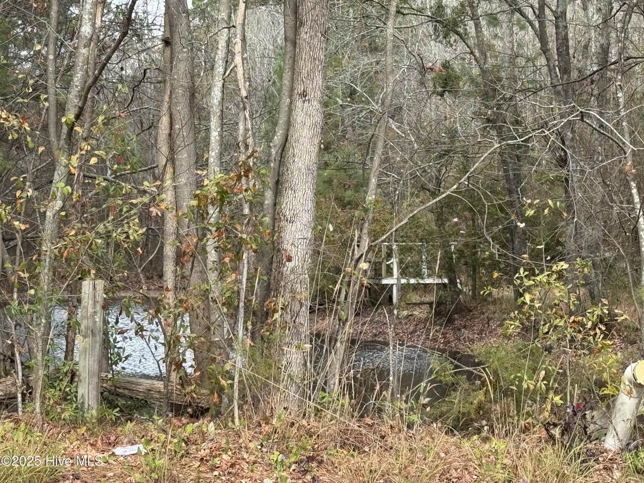 0 Boyd Lake Road - Photo 1