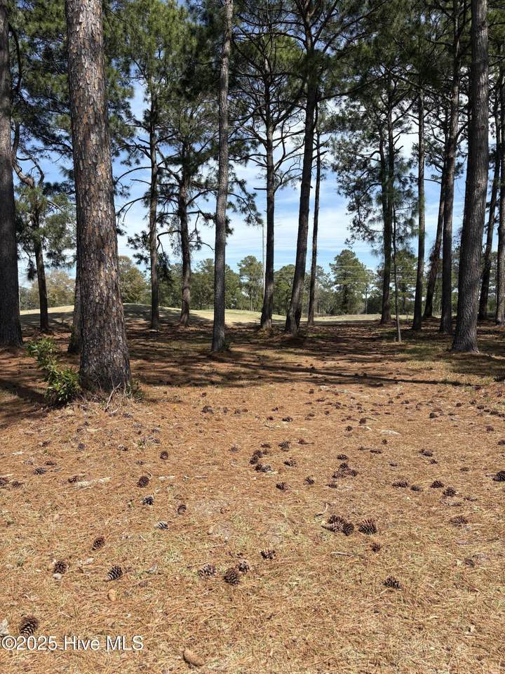 591 Lot 33 Eastwood Park Road - Photo 1
