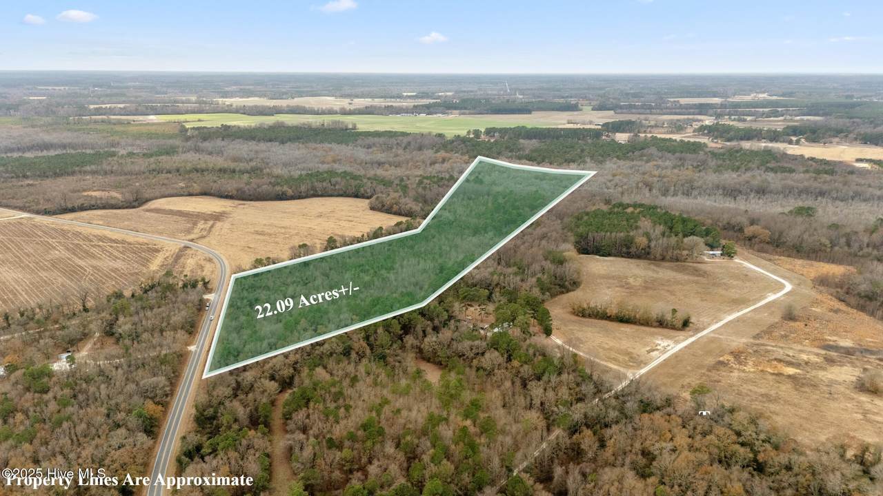 0 Gaddy's Mill Rd - Photo 1