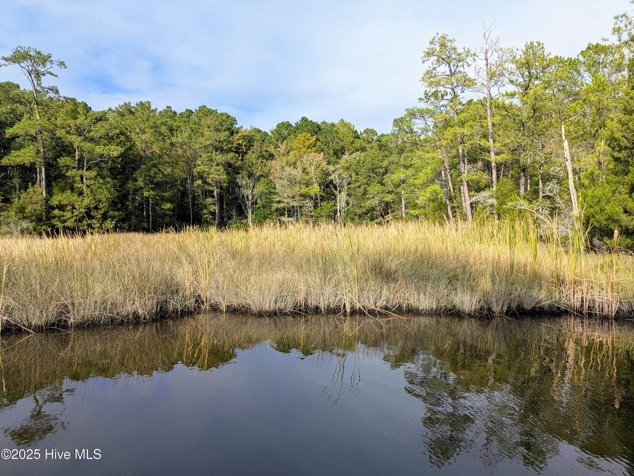 238 Mill Creek Road - Photo 1