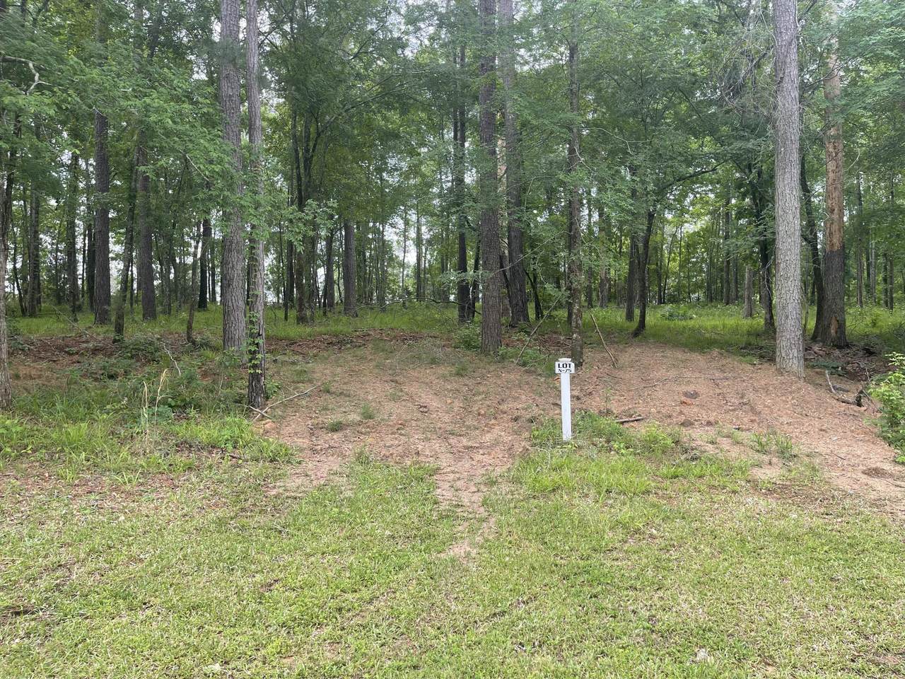 N-75 Eutaw Springs Trail - Photo 1