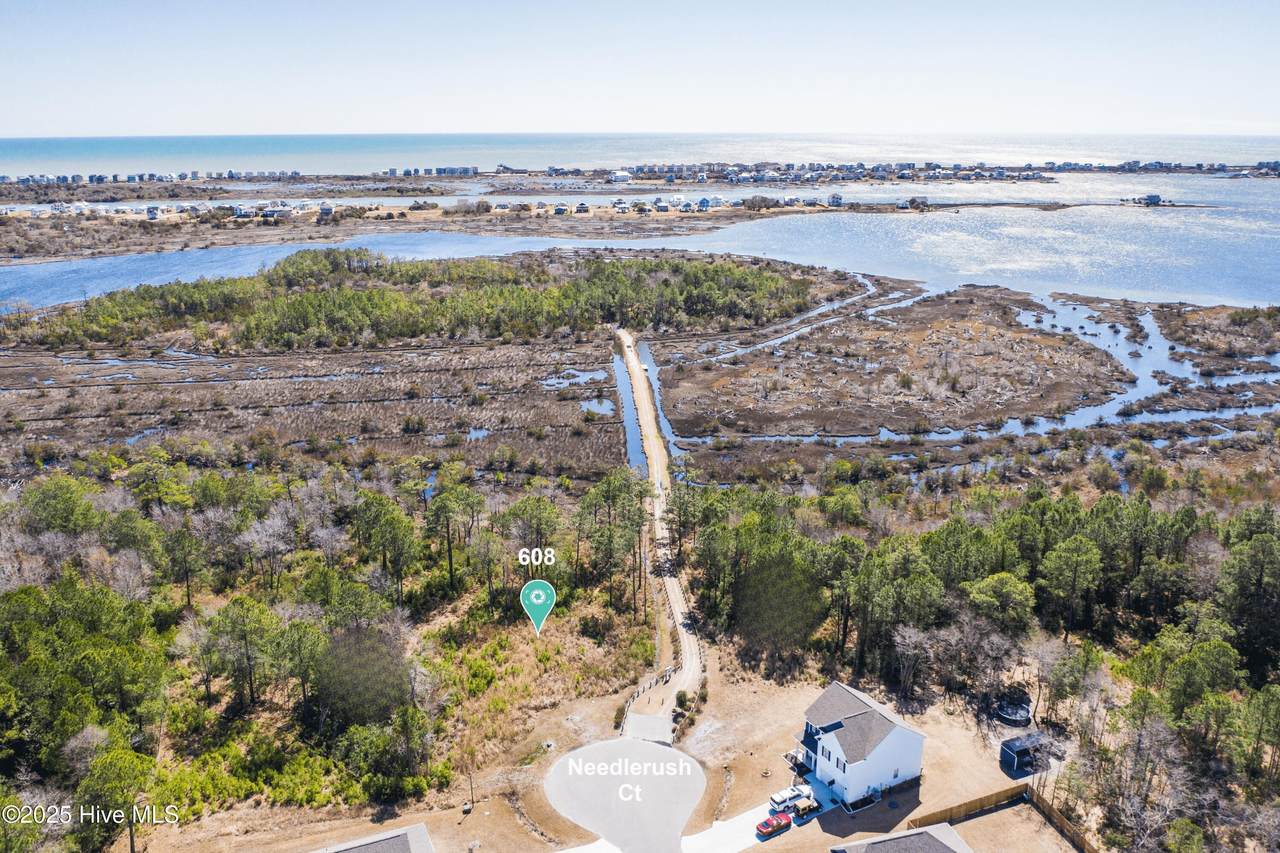 608 Needlerush Court - Photo 1