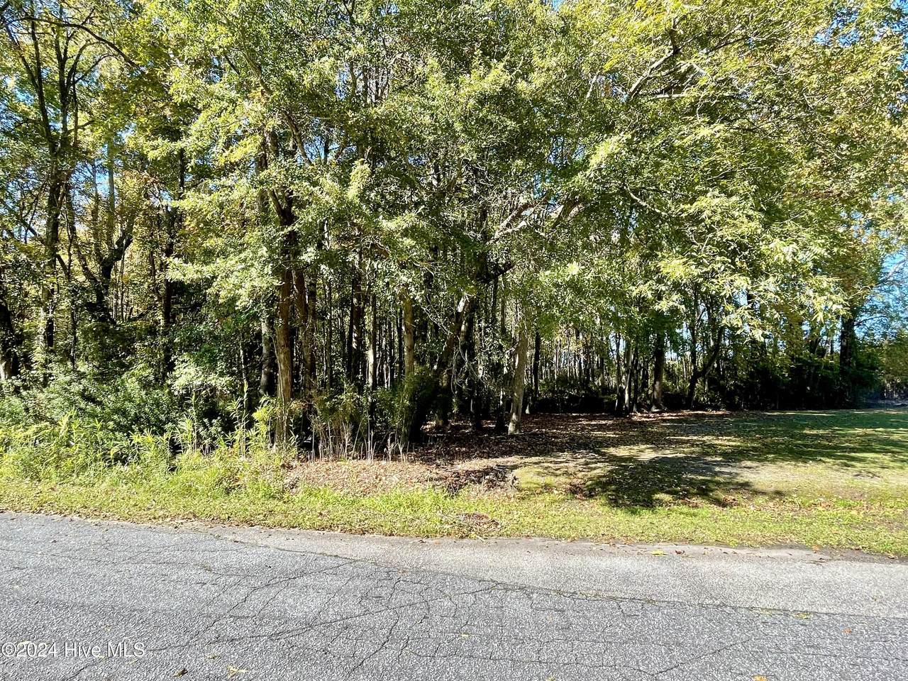 1239 Chance Boulevard - Photo 1