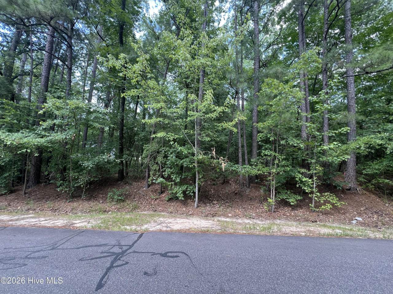 307 Thimbleberry Drive - Photo 1