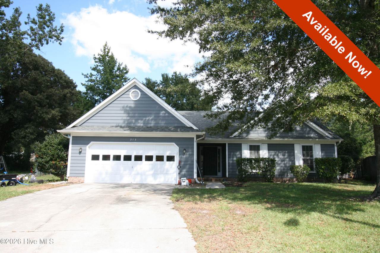 315 Peppertree Court - Photo 1