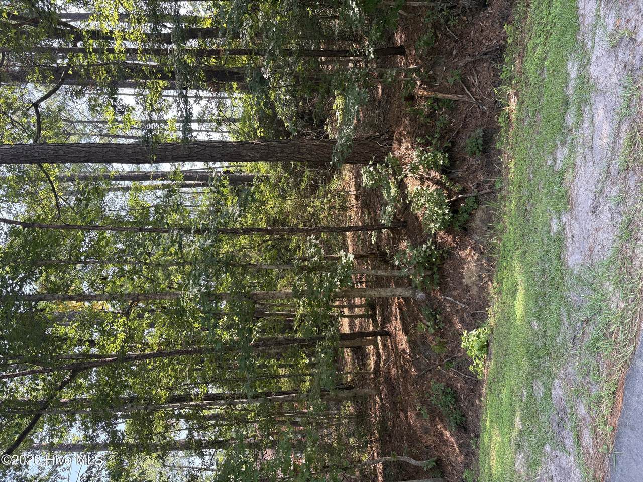 13 Myrtlewood Drive - Photo 1