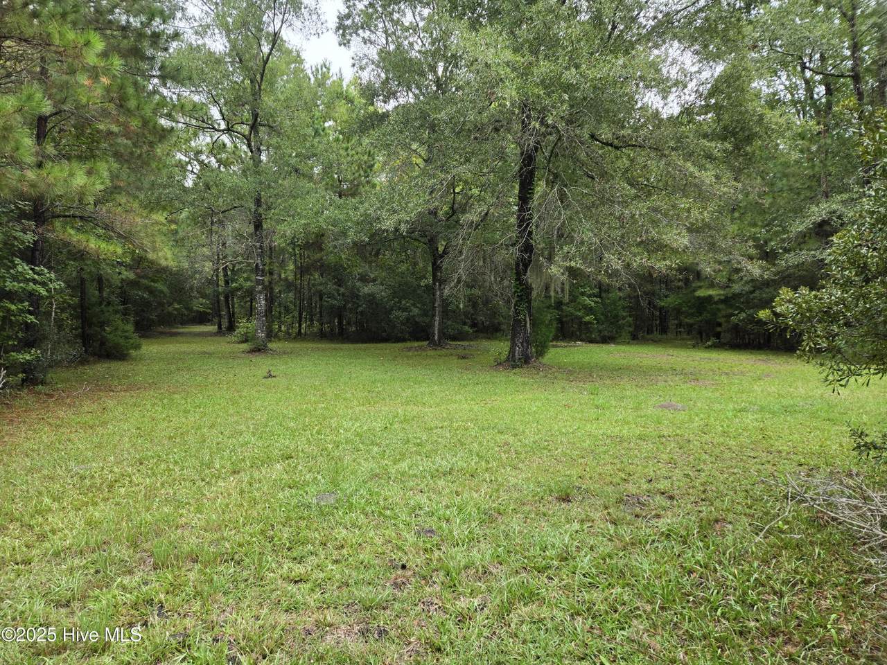 220 4H Road - Photo 1