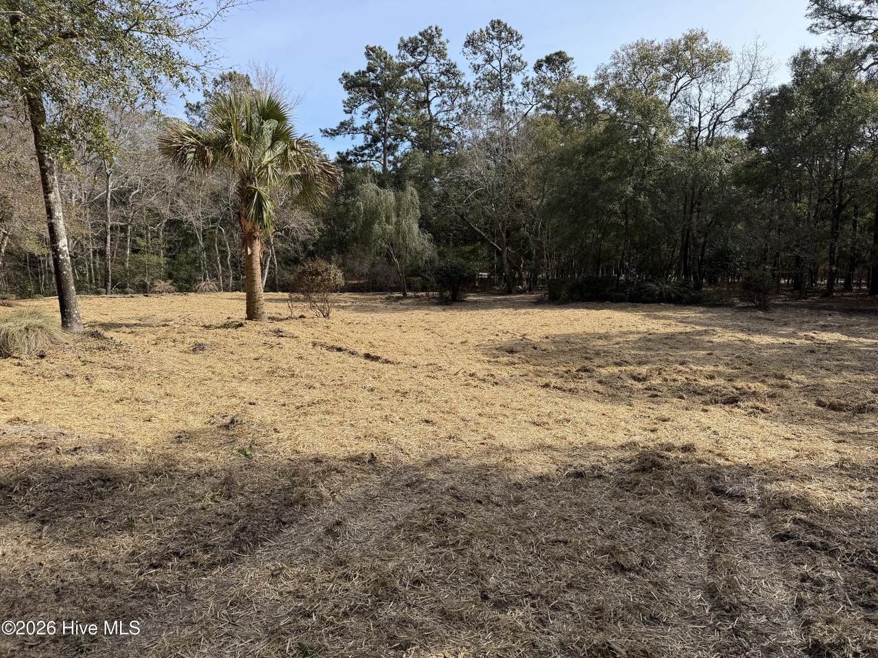 591 Valverda Street - Photo 1