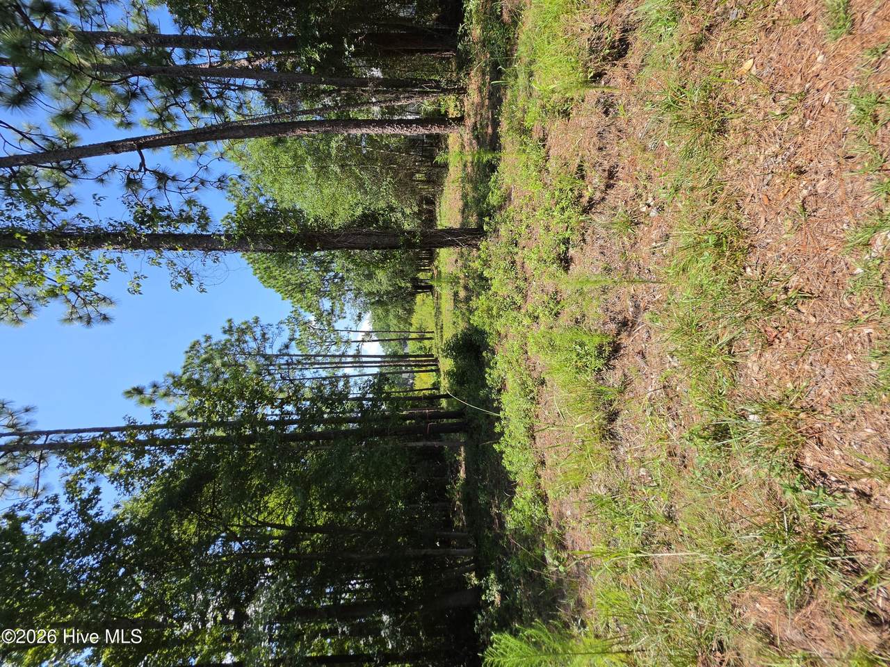 44 Pine Shores Drive - Photo 1
