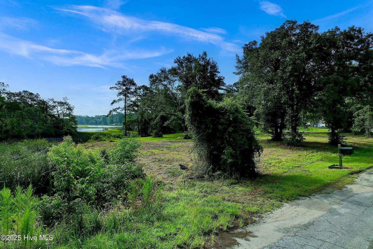 1672 Little Shallotte River Drive - Photo 1