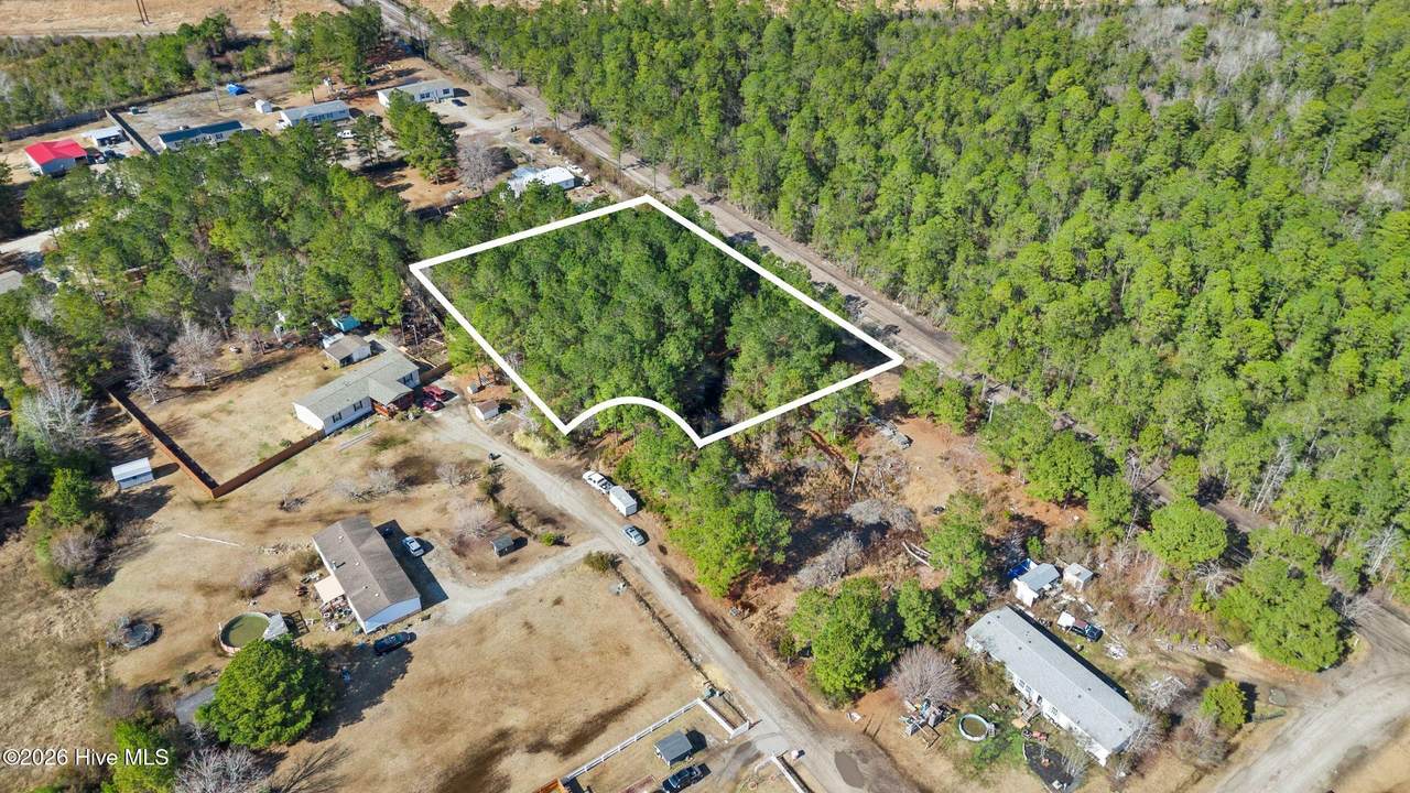 66 Tree Top Court - Photo 1