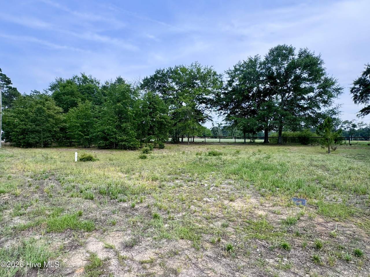 12340 Mallard Creek Drive - Photo 1