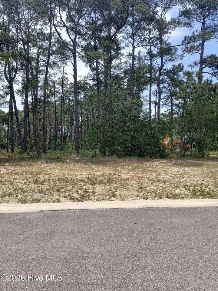 6077 Isla Mona Drive - Photo 1