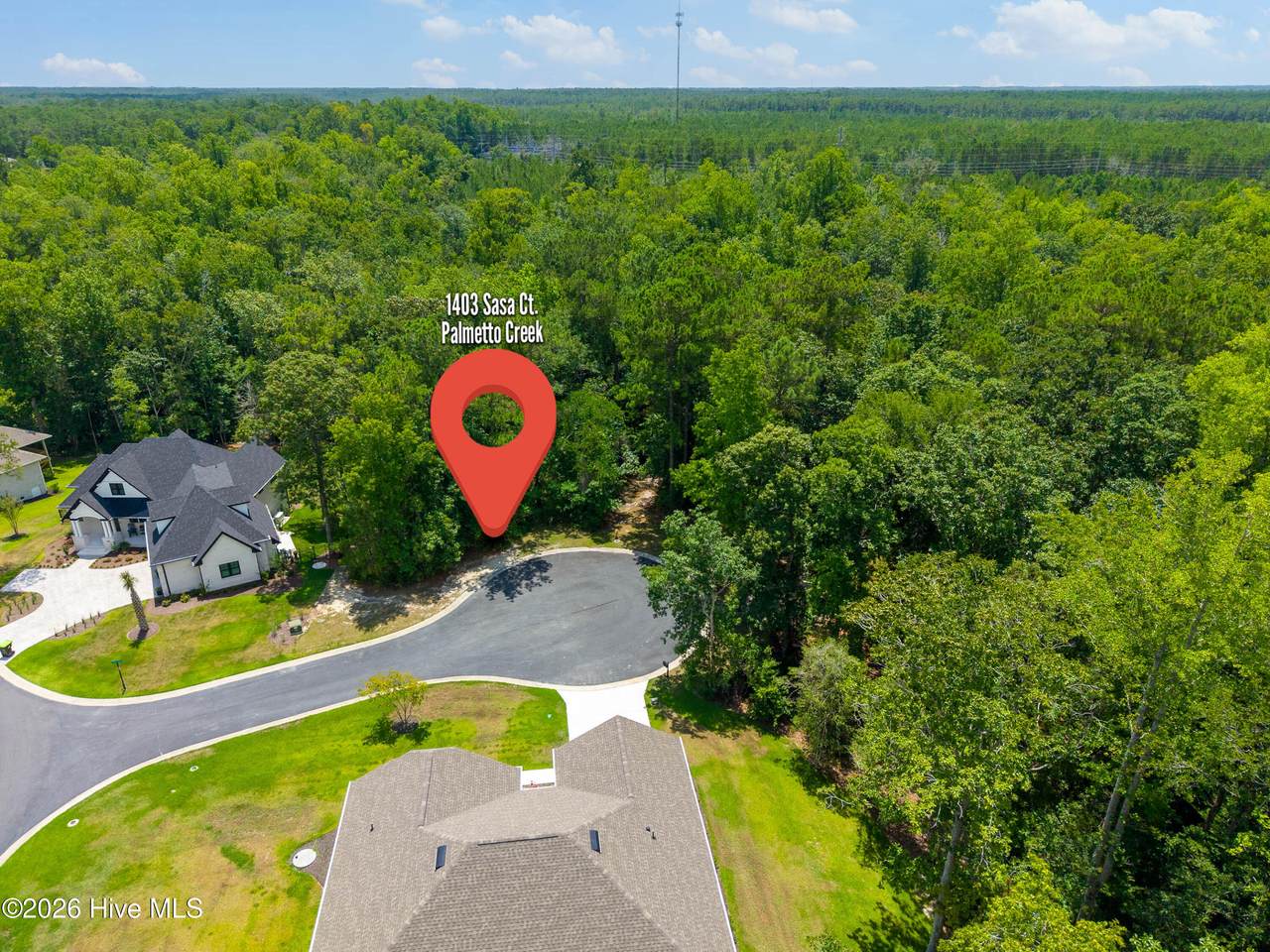 1403 Sasa Court - Photo 1