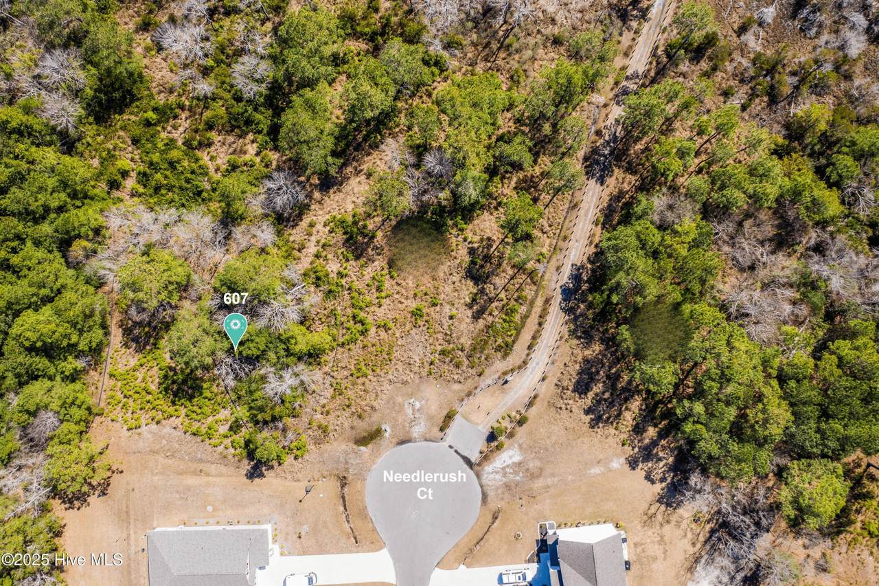 607 Needlerush Court - Photo 1