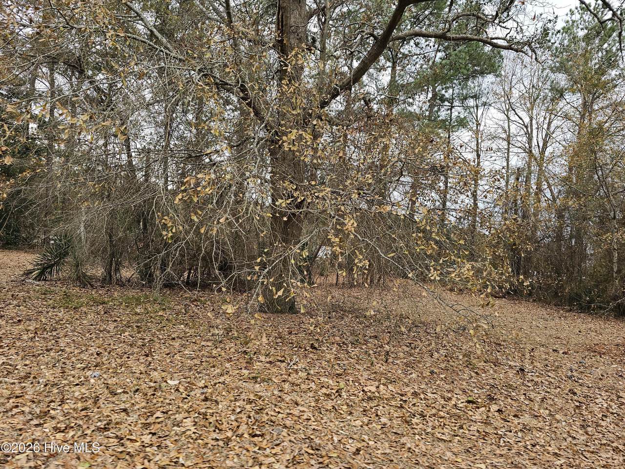1400 Fox Run Lane - Photo 1