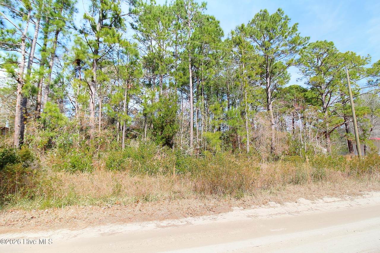 2890 Bird Drive - Photo 1