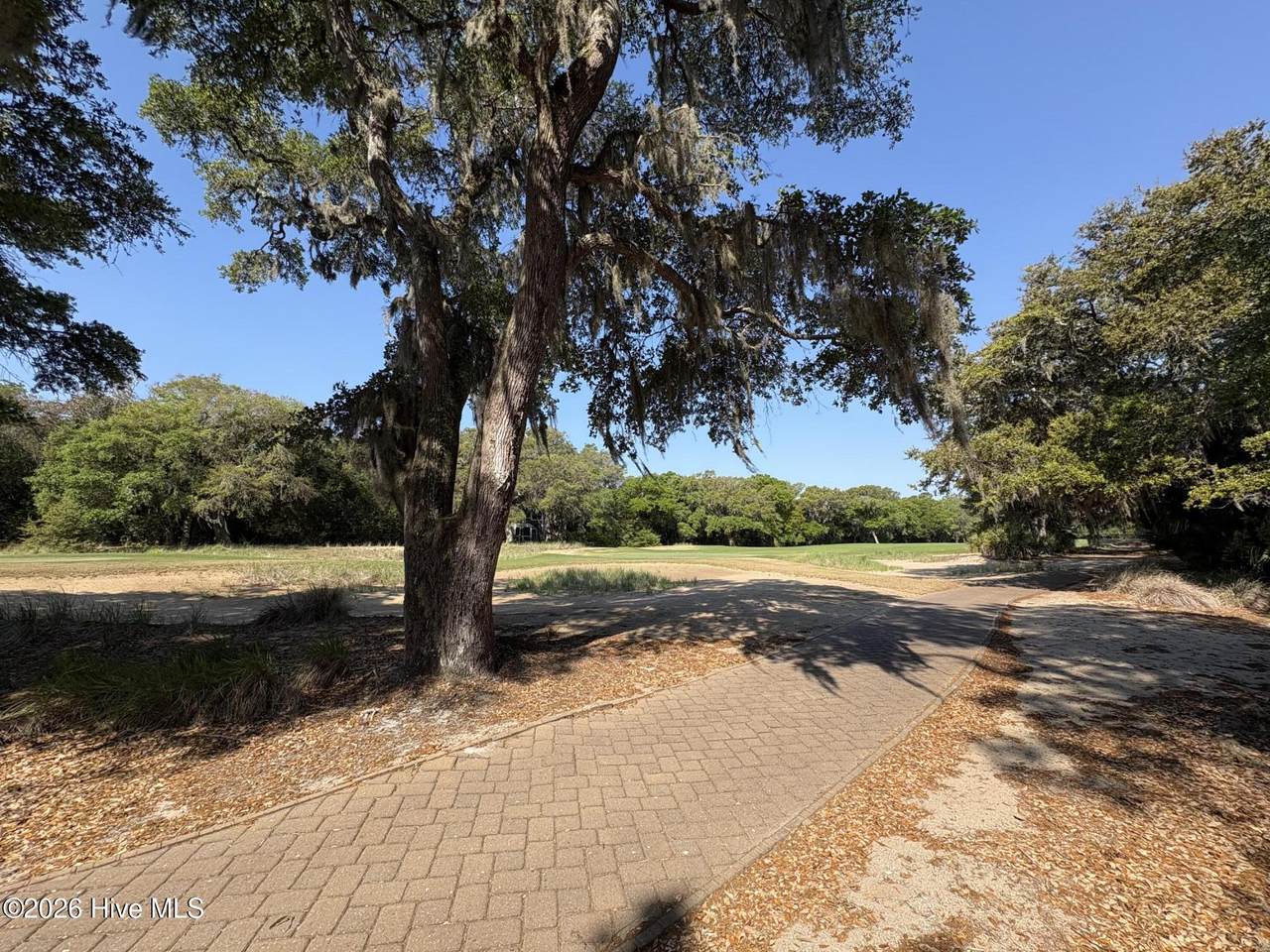 222 Bald Head - Photo 1