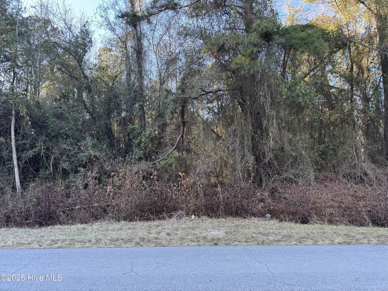 00 New Hope Church Road - Photo 1