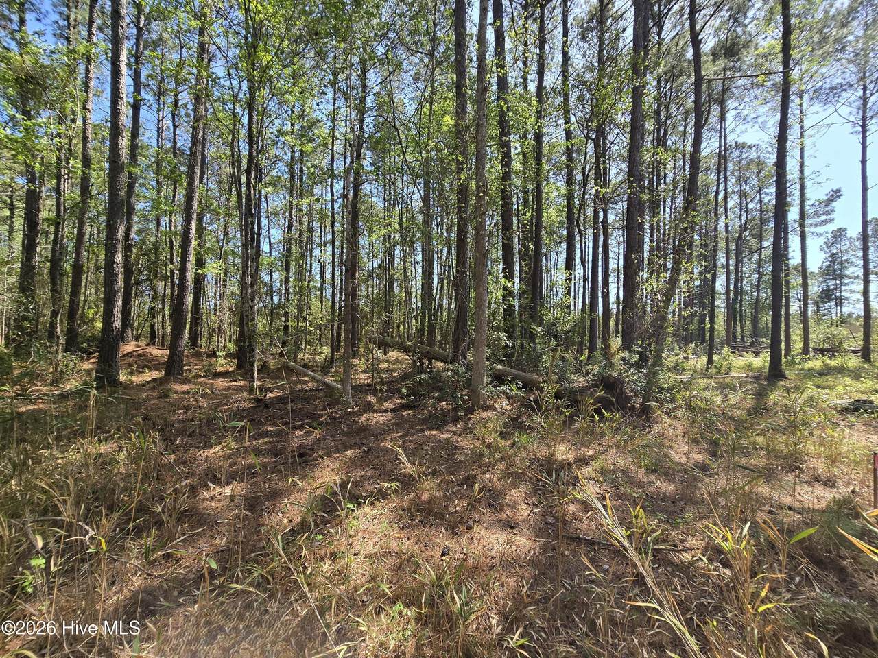 Lot B Renee Drive - Photo 1