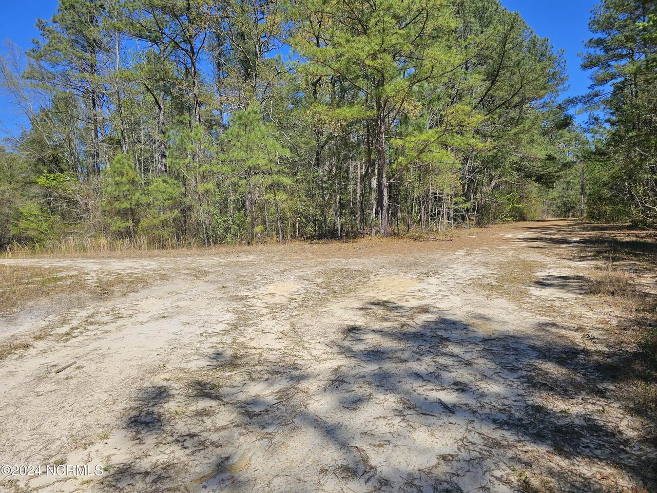 353 Indian Pipe Lane - Photo 1