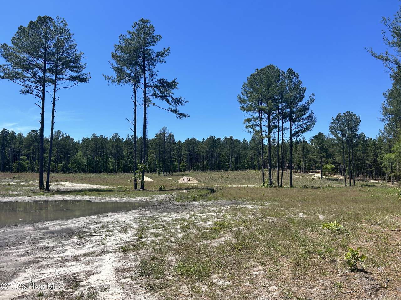 461 Lally Circle - Photo 1