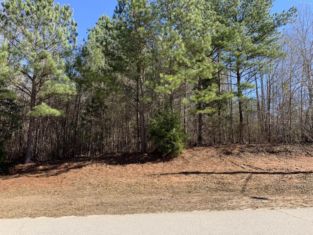 822 Matts Lane - Photo 1