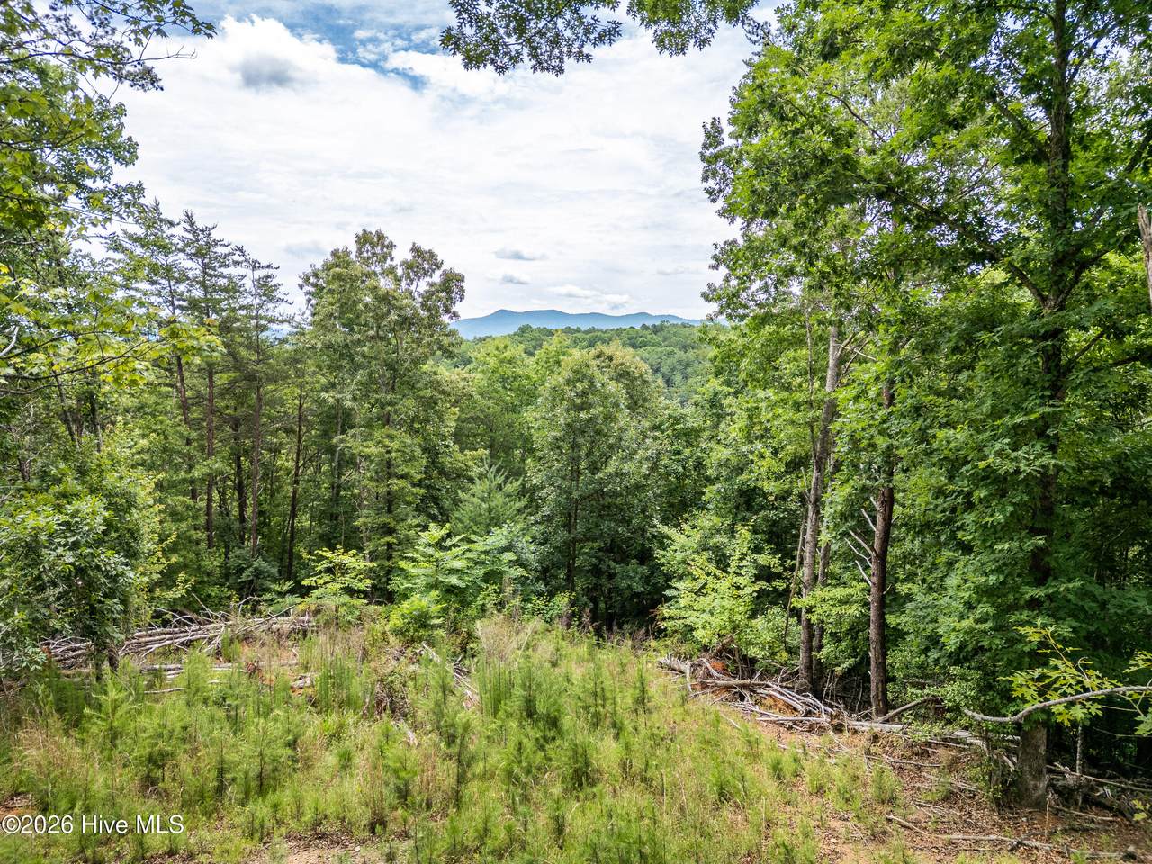 1 Stormy Ridge - Photo 1