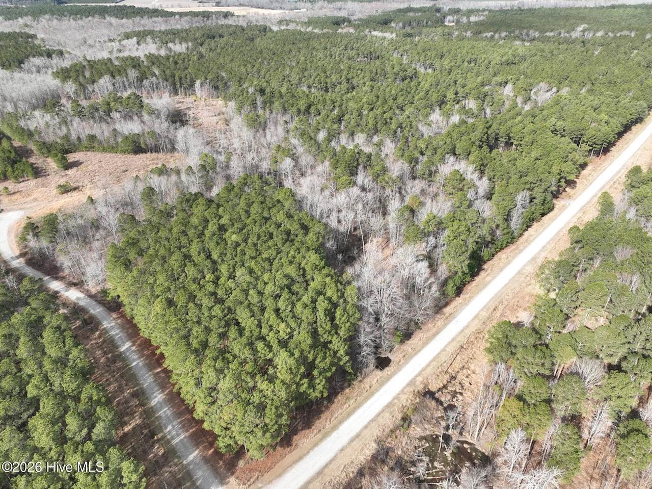 405 Batts Island Road - Photo 1