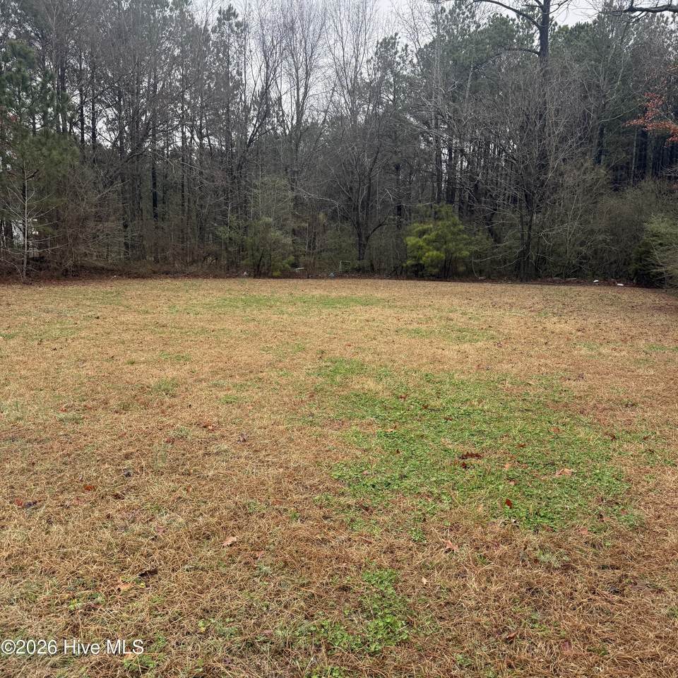 113 Center Hill Road - Photo 1