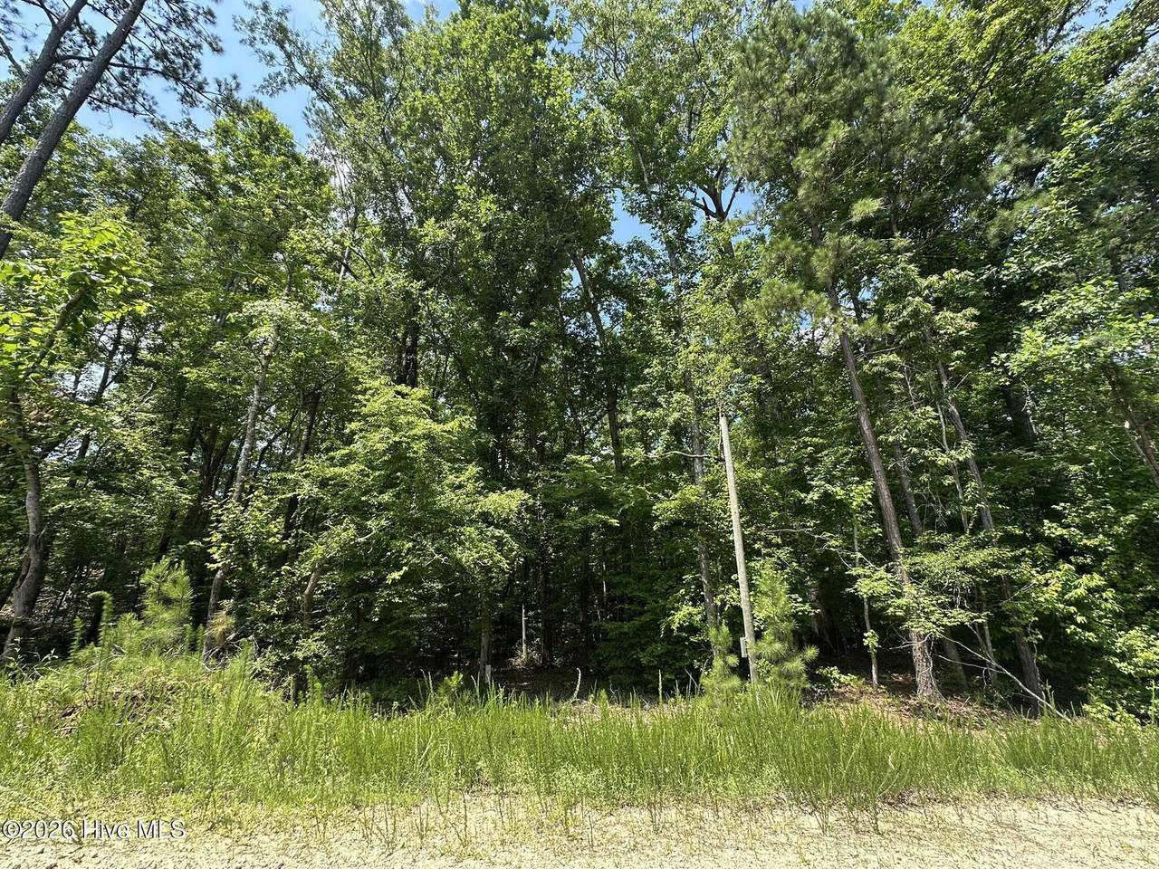 Lot 17 Lakeshore Estates Drive - Photo 1
