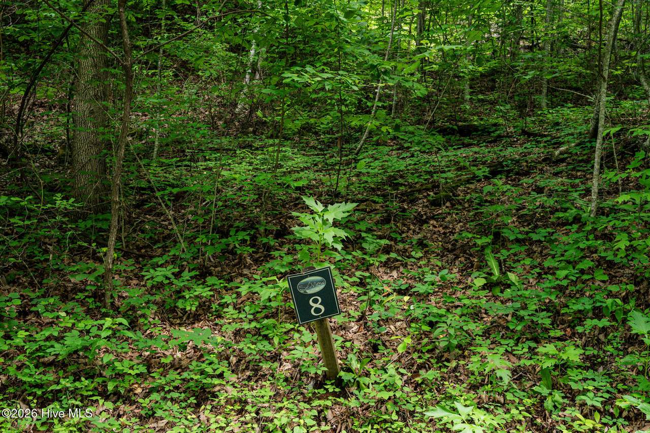 Lot 8 Skyview Drive - Photo 1