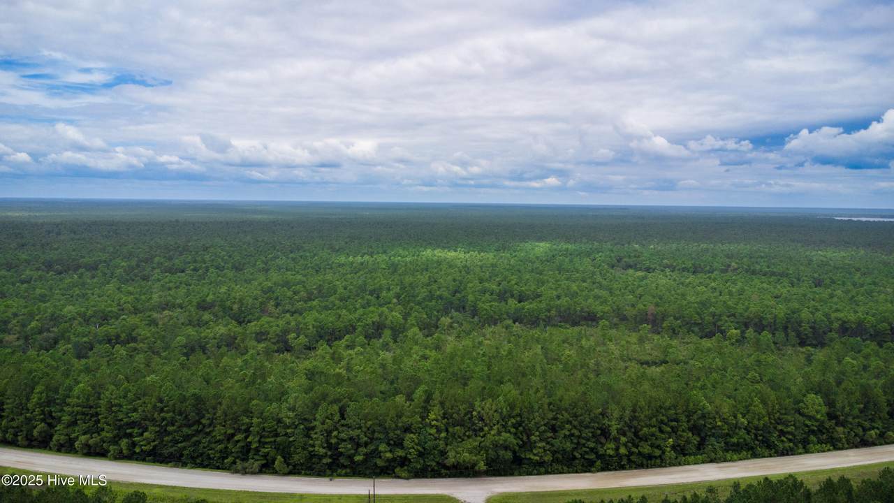 Tbd Catfish Lake Road - Photo 1